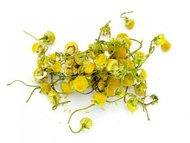 Chamomile from ESGREEN