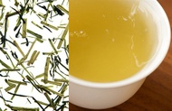 Kukicha from Samovar