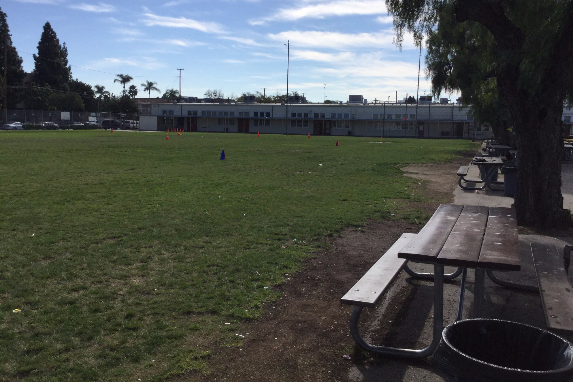 Field