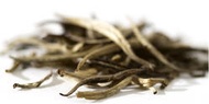 Hajua Estate Assam White Tea from Jing Tea