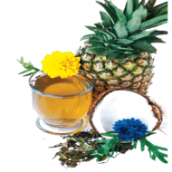 Waikiki Pina Colada from Brooke and Bradford