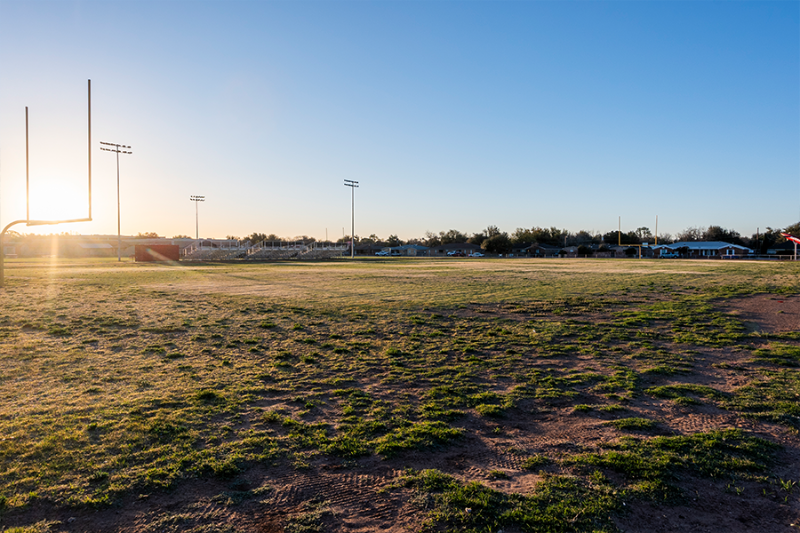 Grass Field