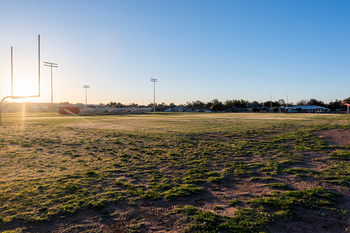 Grass Field