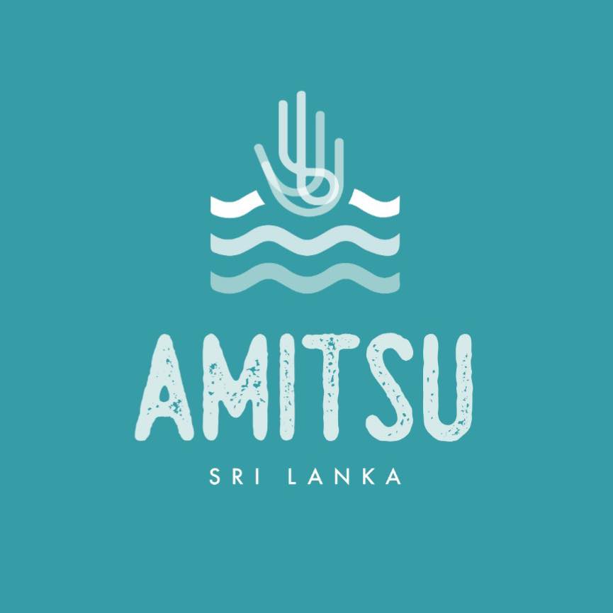 Ami Tsunami Childrens House logo