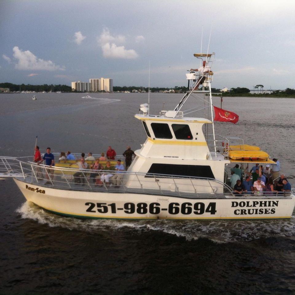 Dolphin Cruise photo 1