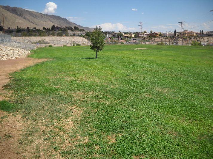 Playfield/Soccer