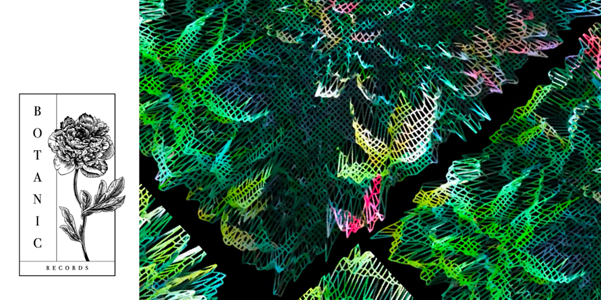 An interview with BOTANIC Records about their sprawling new release, the electronic compilation Walled Garden Vol. 02