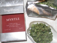 myrtle from Tregothnan