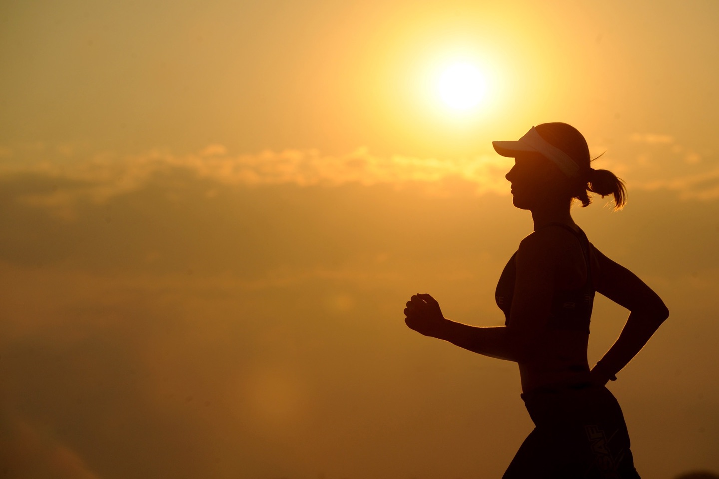 Product image for Breath Mechanics for Pelvic Health and Fitness