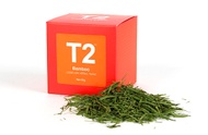 Bamboo from T2