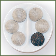 Organic Pu-erh Tuo Cha from Zen Tara Tea