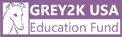 GREY2K USA Education Fund logo