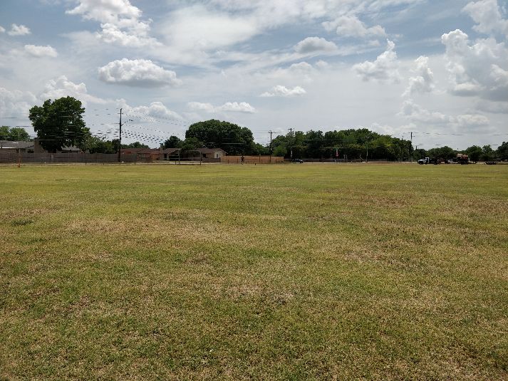 Field