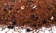 Blueberry Yogurt Rooibos from Fusion Teas