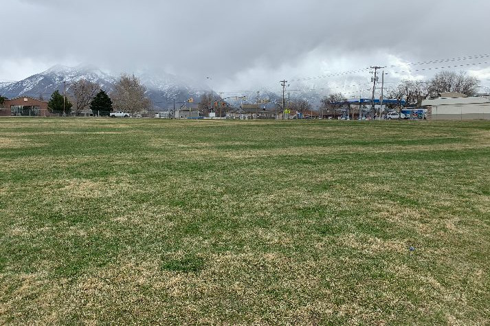 Fields