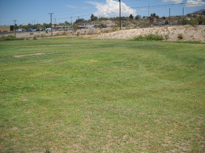 Playfield
