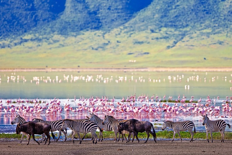 Ngorongoro Crater Tour