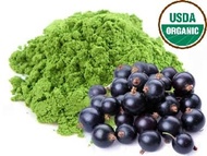 Brazilian Acai Matcha from Matcha Outlet