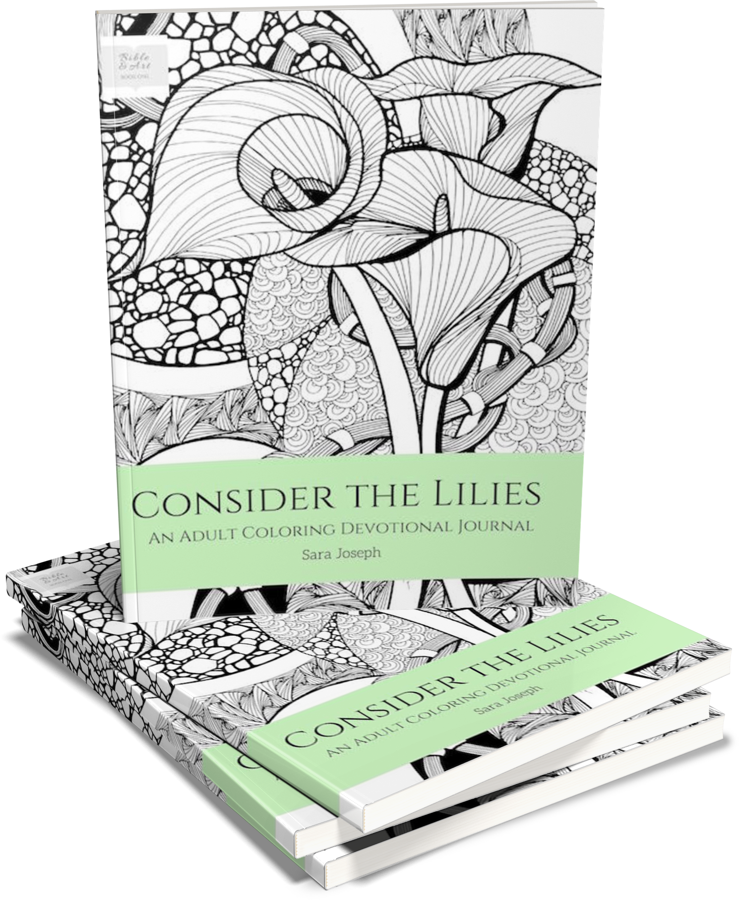 Consider the Lilies: An Adult Coloring Devotional Journal