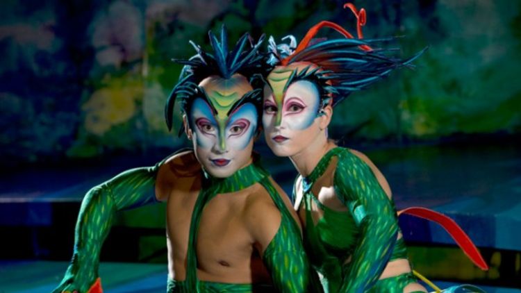 Cirque du Soleil Show Las Vegas