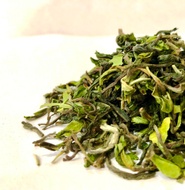 Teesta Valley (Floral Delight) EX-1 Darjeeling tea 1st flush 2018 from Tea Emporium ( www.teaemporium.net)