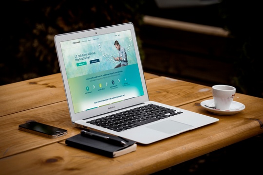 portfolio