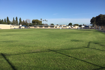 Field