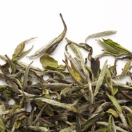 Bai Mu Dan Wang from Camellia Sinensis