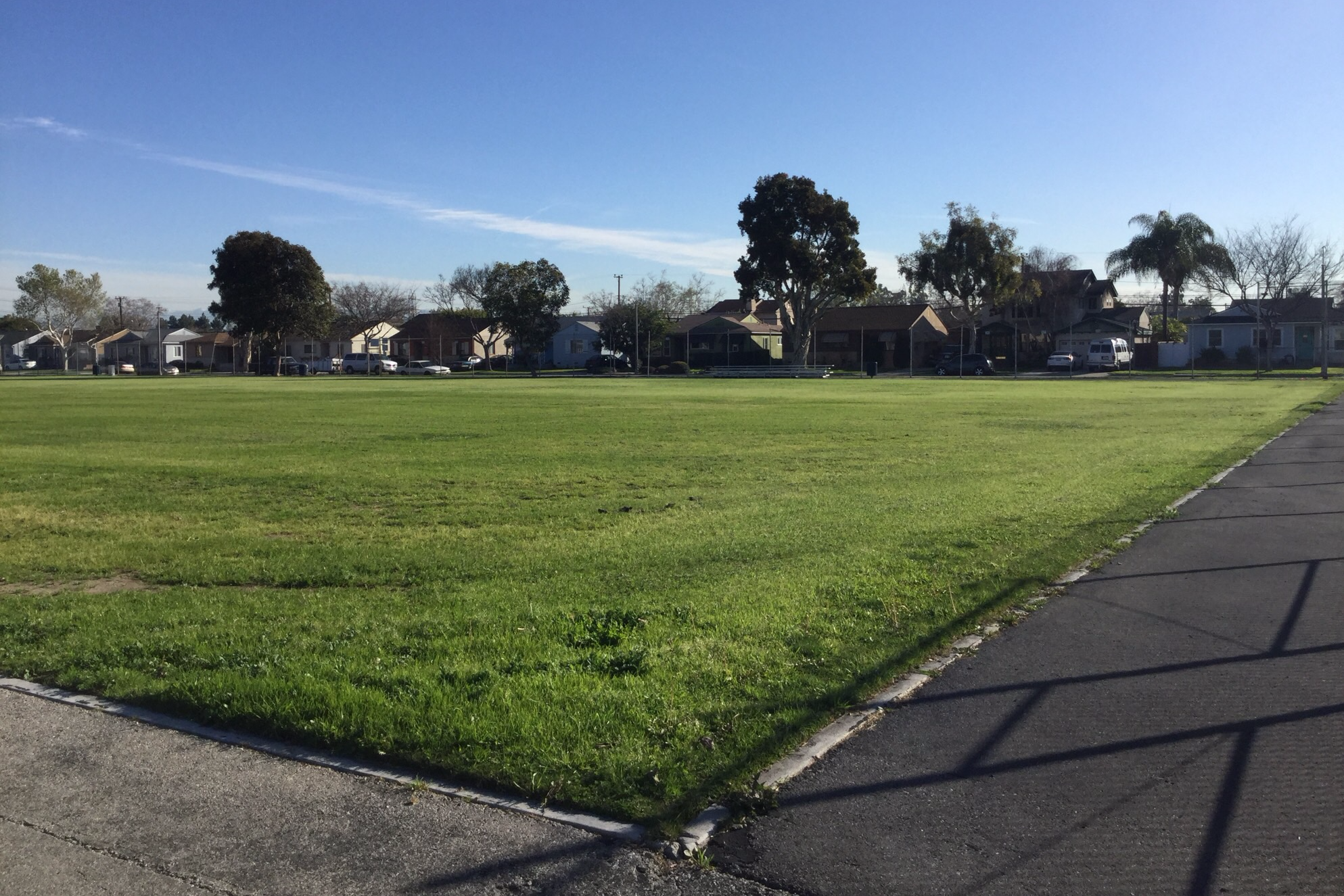 Field