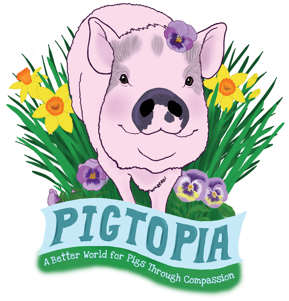 Pigtopia logo
