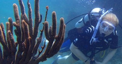 Dive San Juan - Caribe Hilton Shore/Beach Dive