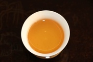 2016 golden water turtle 水金龟 from Wuyi Origin