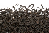 Géorgie Kolkhida from Camellia Sinensis