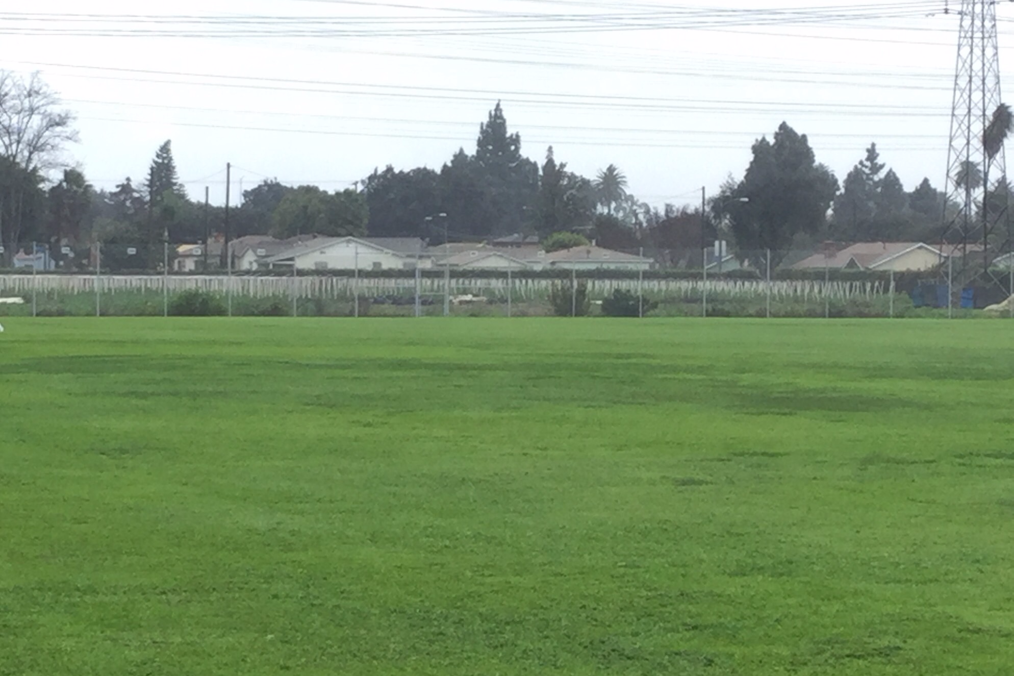 Field-West