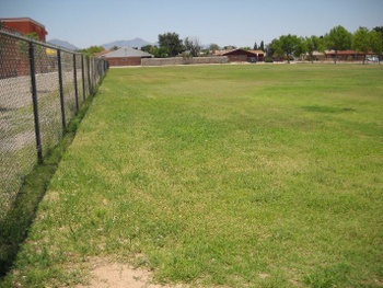 Playfield