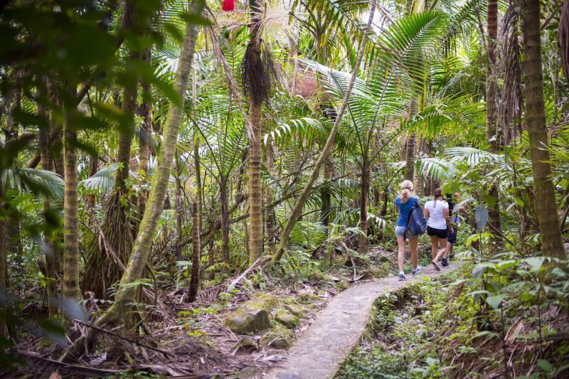 El Yunque & BioBay Combo Tour tour photo 6