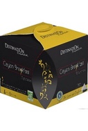 Thé Noir Ceylan FP Bio Ceylon Breakfast - Premium from Destination