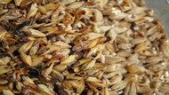 Crystal Malt from Malt-Tea.com