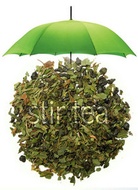 Green Tea Mint from Stir Tea
