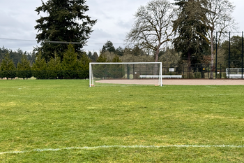 Athletic Field Grass