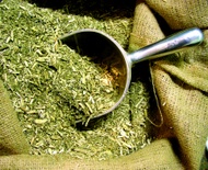 Traditional Yerba Mate from Guayaki