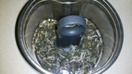 white monkey from Teas Etc