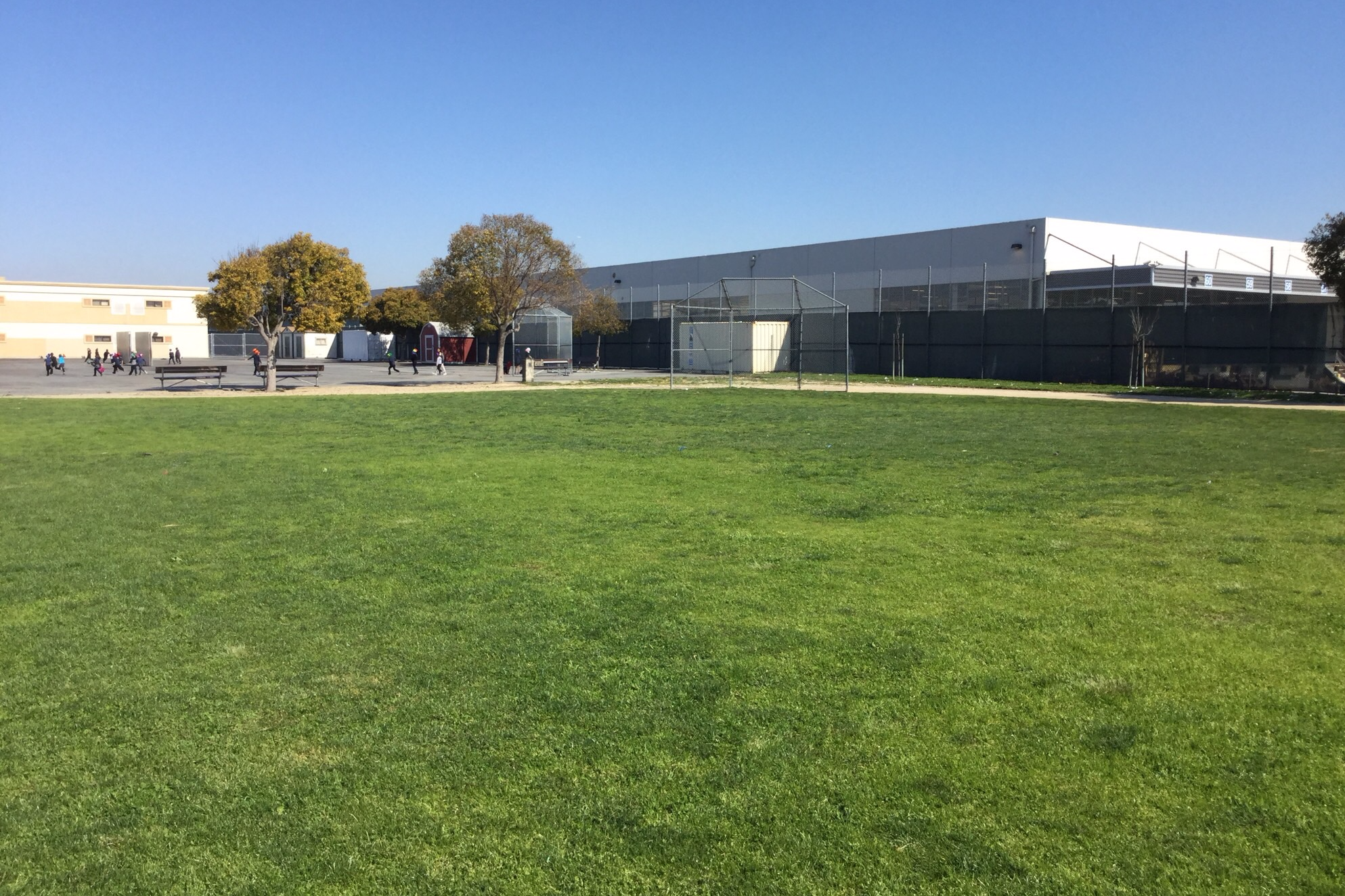 Field