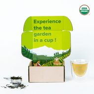 First Flush 2024 from Nepal Tea Collective