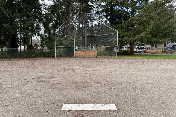 Baseball Field Grass