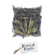 Tropical Thyolo from Bruu Tea
