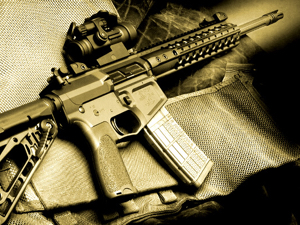 ガンバード1＆2 www.galleryofguns.com - Gun Genie - Davidson's most popular
