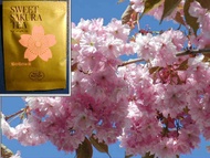 Sweet Sakura Black Tea from Tea Boutique
