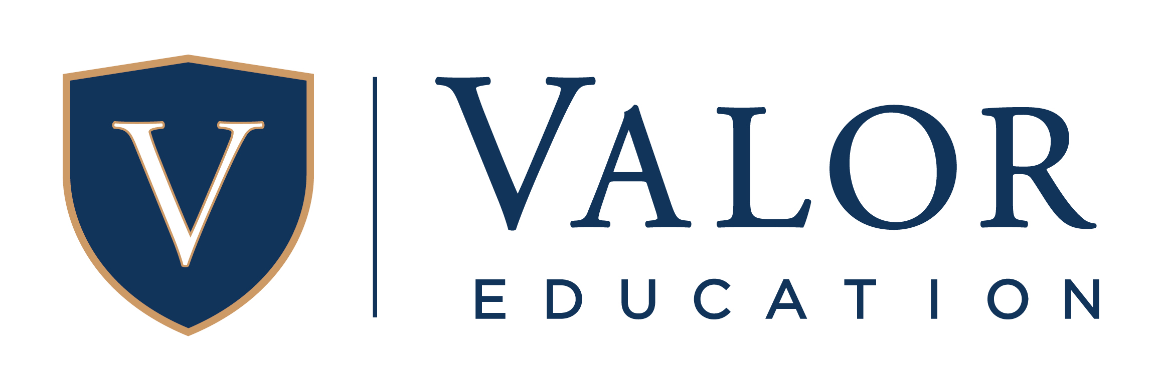 Valor Texas Education logo
