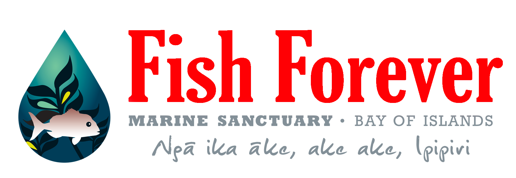 Bay of Islands Maritime Park Inc logo